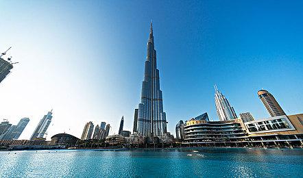 在土澳和袋鼠赛跑 《死亡搁浅2》中的野生动物生态